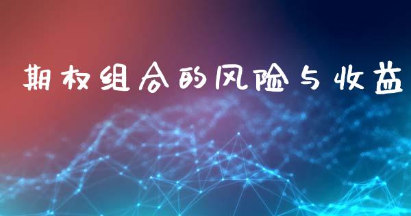 期权组合的风险与收益_https://cj007.lansai.wang_外汇交易_第1张