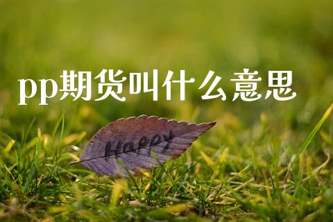 pp期货叫什么意思_https://cj007.lansai.wang_全球市场_第1张