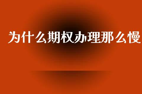 为什么期权办理那么慢_https://cj007.lansai.wang_全球市场_第1张