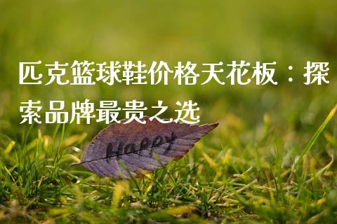 匹克篮球鞋价格天花板：探索品牌最贵之选_https://cj007.lansai.wang_期货开户_第1张