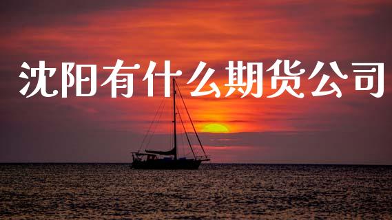 沈阳有什么期货公司_https://cj007.lansai.wang_财经新闻_第1张