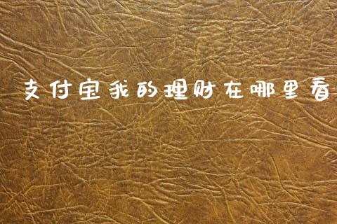 支付宝我的理财在哪里看_https://cj007.lansai.wang_财经新闻_第1张