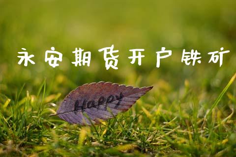 永安期货开户铁矿_https://cj007.lansai.wang_期货开户_第1张