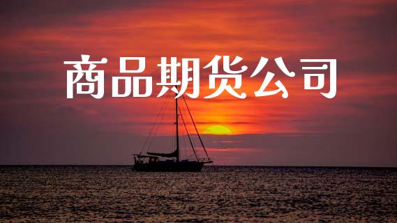 商品期货公司_https://cj007.lansai.wang_外汇交易_第1张