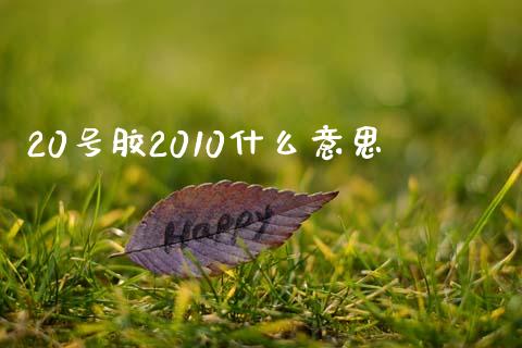 20号胶2010什么意思_https://cj007.lansai.wang_财经新闻_第1张
