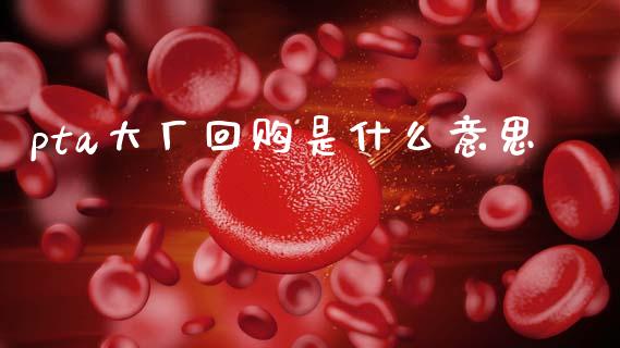 pta大厂回购是什么意思_https://cj007.lansai.wang_全球市场_第1张