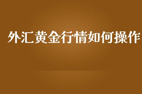 外汇黄金行情如何操作_https://cj007.lansai.wang_金融监管_第1张