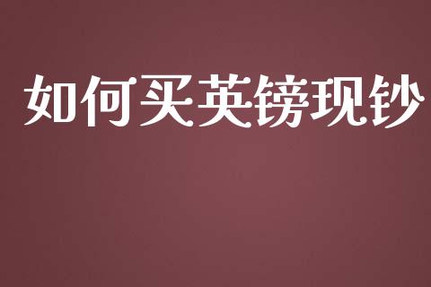 如何买英镑现钞_https://cj007.lansai.wang_全球市场_第1张