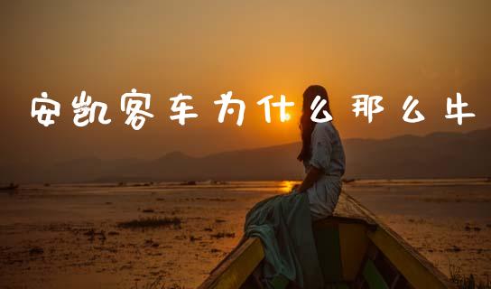 安凯客车为什么那么牛_https://cj007.lansai.wang_财经新闻_第1张