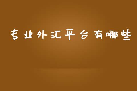 专业外汇平台有哪些_https://cj007.lansai.wang_债券资讯_第1张