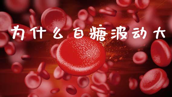 为什么白糖波动大_外汇交易_第1张_期货开户_金融监管_外汇交易_债券资讯_全球市场_财经新闻 为什么白糖波动大_https://cj007.lansai.wang_外汇交易_第1张