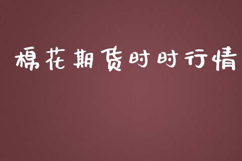 棉花期货时时行情_https://cj007.lansai.wang_金融监管_第1张