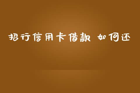 招行信用卡借款 如何还_https://cj007.lansai.wang_外汇交易_第1张