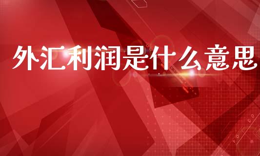 外汇利润是什么意思_https://cj007.lansai.wang_债券资讯_第1张