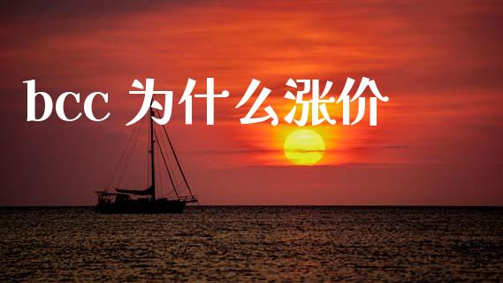 bcc 为什么涨价_https://cj007.lansai.wang_期货开户_第1张