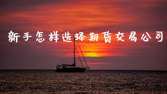 新手怎样选择期货交易公司_https://cj007.lansai.wang_财经新闻_第1张
