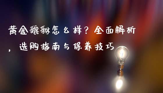 黄金貔貅怎么样？全面解析，选购指南与保养技巧_https://cj007.lansai.wang_金融监管_第1张