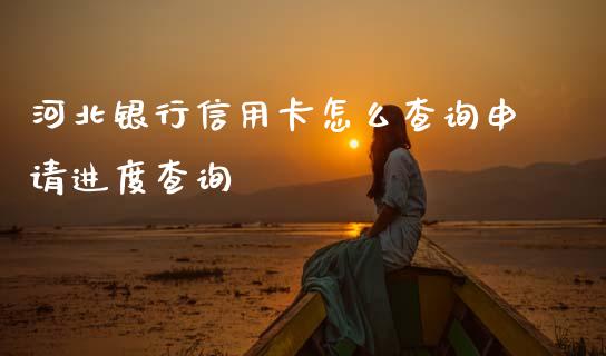 河北银行信用卡怎么查询申请进度查询_https://cj007.lansai.wang_财经新闻_第1张