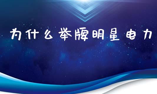 为什么举牌明星电力_https://cj007.lansai.wang_财经新闻_第1张