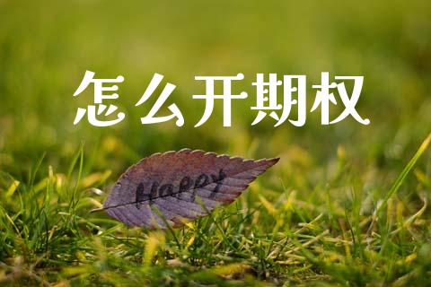 怎么开期权_https://cj007.lansai.wang_外汇交易_第1张