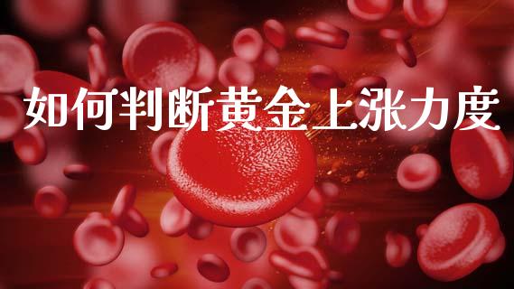 如何判断黄金上涨力度_https://cj007.lansai.wang_期货开户_第1张