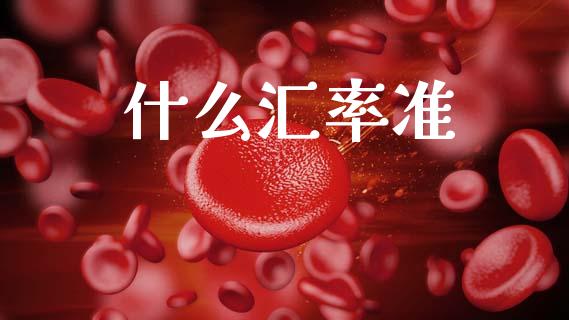 什么汇率准_https://cj007.lansai.wang_财经新闻_第1张