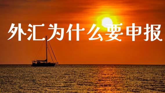 外汇为什么要申报_https://cj007.lansai.wang_期货开户_第1张