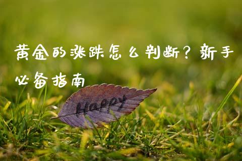 黄金的涨跌怎么判断？新手必备指南_https://cj007.lansai.wang_期货开户_第1张