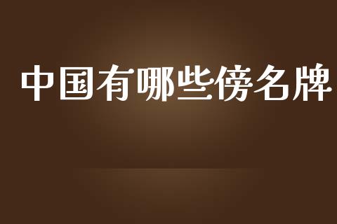 中国有哪些傍名牌_外汇交易_第1张_期货开户_金融监管_外汇交易_债券资讯_全球市场_财经新闻 中国有哪些傍名牌_https://cj007.lansai.wang_外汇交易_第1张