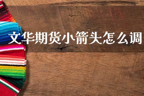 文华期货小箭头怎么调_https://cj007.lansai.wang_金融监管_第1张