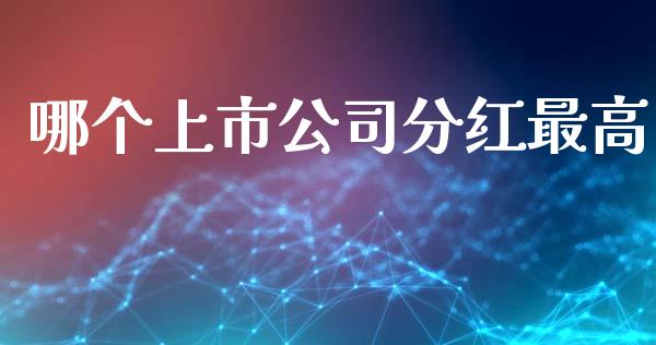 哪个上市公司分红最高_https://cj007.lansai.wang_期货开户_第1张