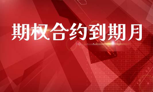 期权合约到期月_https://cj007.lansai.wang_债券资讯_第1张
