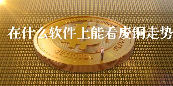 在什么软件上能看废铜走势_https://cj007.lansai.wang_全球市场_第1张