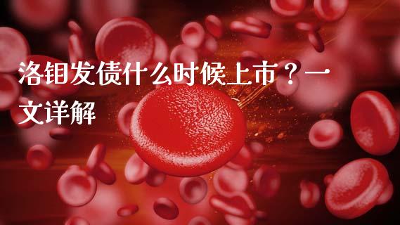 洛钼发债什么时候上市？一文详解_https://cj007.lansai.wang_财经新闻_第1张