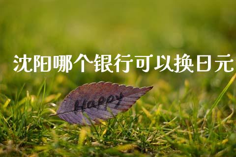 沈阳哪个银行可以换日元_https://cj007.lansai.wang_财经新闻_第1张
