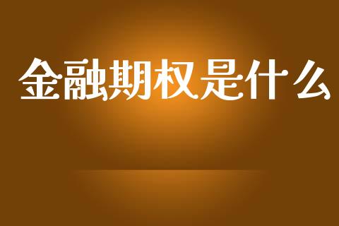 金融期权是什么_https://cj007.lansai.wang_期货开户_第1张