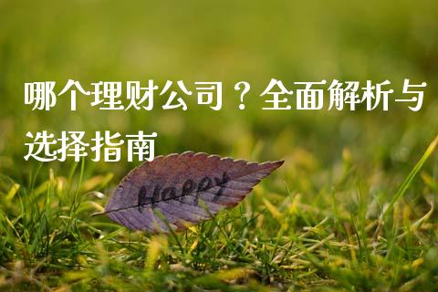 哪个理财公司？全面解析与选择指南_https://cj007.lansai.wang_债券资讯_第1张