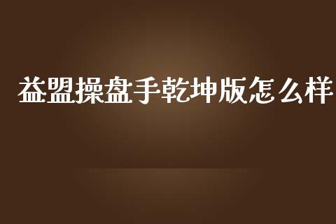 益盟操盘手乾坤版怎么样_https://cj007.lansai.wang_全球市场_第1张