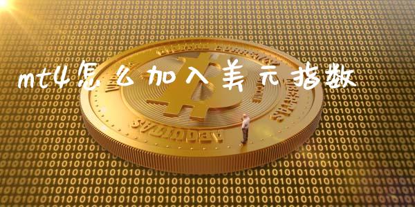 mt4怎么加入美元指数_https://cj007.lansai.wang_全球市场_第1张