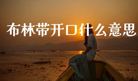 布林带开口什么意思_https://cj007.lansai.wang_外汇交易_第1张