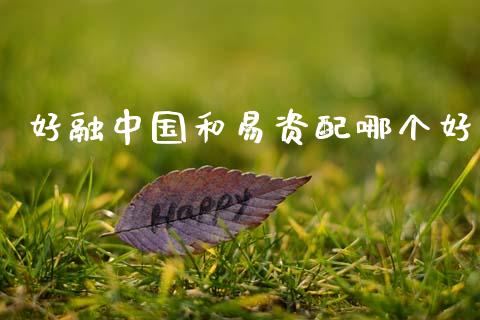 好融中国和易资配哪个好_https://cj007.lansai.wang_债券资讯_第1张