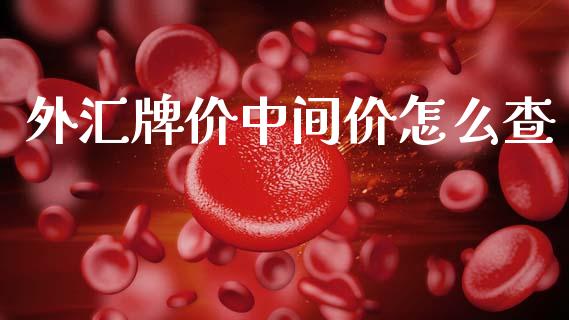 外汇牌价中间价怎么查_https://cj007.lansai.wang_期货开户_第1张