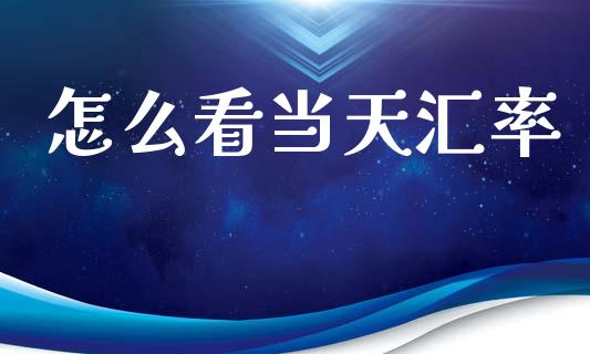 怎么看当天汇率_https://cj007.lansai.wang_外汇交易_第1张