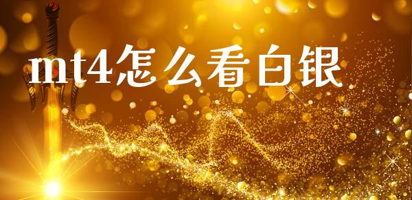 mt4怎么看白银_https://cj007.lansai.wang_期货开户_第1张