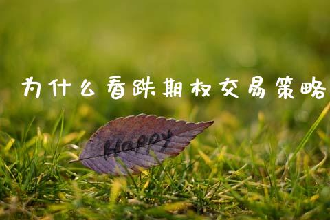 为什么看跌期权交易策略_https://cj007.lansai.wang_债券资讯_第1张