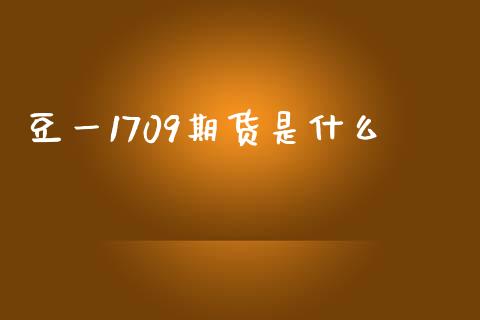 豆一1709期货是什么_https://cj007.lansai.wang_财经新闻_第1张