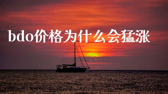bdo价格为什么会猛涨_https://cj007.lansai.wang_外汇交易_第1张
