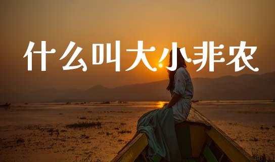什么叫大小非农_https://cj007.lansai.wang_债券资讯_第1张