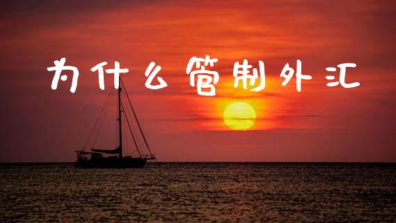 为什么管制外汇_https://cj007.lansai.wang_全球市场_第1张
