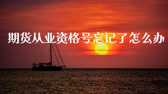 期货从业资格号忘记了怎么办_https://cj007.lansai.wang_金融监管_第1张